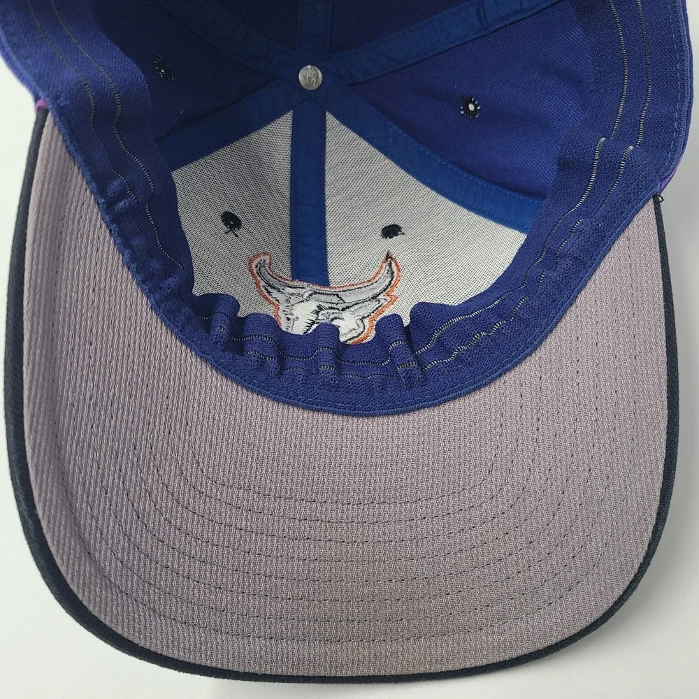 Vintage Durham Bulls Hat Fitted (Seems M-L) Twins Enterprise Blue Black MiLB Men